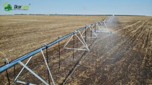 Dicor Land a adus ploaia în Câmpia Bărăganului - Dicor Land a adus ploaia în Câmpia Bărăganului - Dicorland