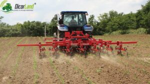 ghidaj guida intelligente