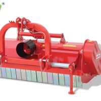 llllllllllllllllllllllltigre