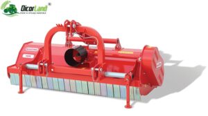 llllllllllllllllllllllltigre