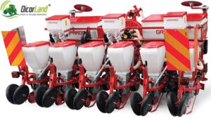 semanatoare sp sprint sfecla