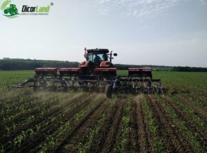 untitled design 2 1 1